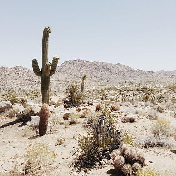 escape the winter chill - maliamills.com